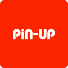 PIN-UP İdman Kitabı Rəyləri